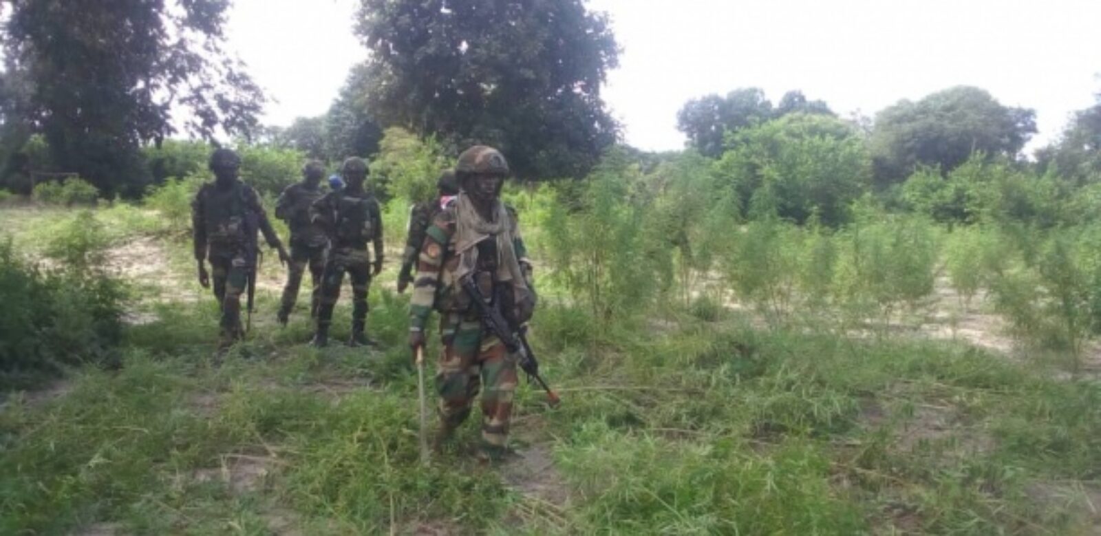 un soldat tué, six blessés, plusieurs assaillants arrêtés