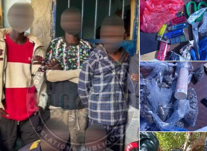 la gendarmerie met fin aux agissements d’une bande de malfaiteurs