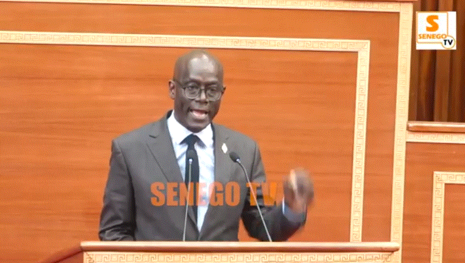 « Je ne vais pas voter cette loi… », Thierno Alassane Sall lors de la plénière sur l’homosexualité