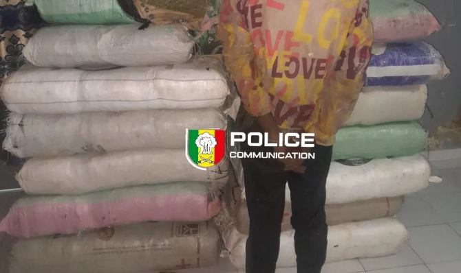 179 kg de chanvre indien saisis à Sédhiou, un convoyeur arrêté