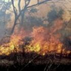 Tragédie à Kaolack : un père de famille piégé par les flammes…