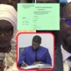 Yacine Fall évoque le casier et l’extrait de naissance en ligne (vidéo)