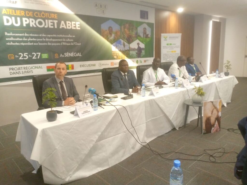 le projet ABEE renforce la sélection variétale au Sénégal, au Niger et au Burkina Faso