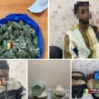 Interpellation de deux individus pour trafic de stupéfiants et saisie de produits…