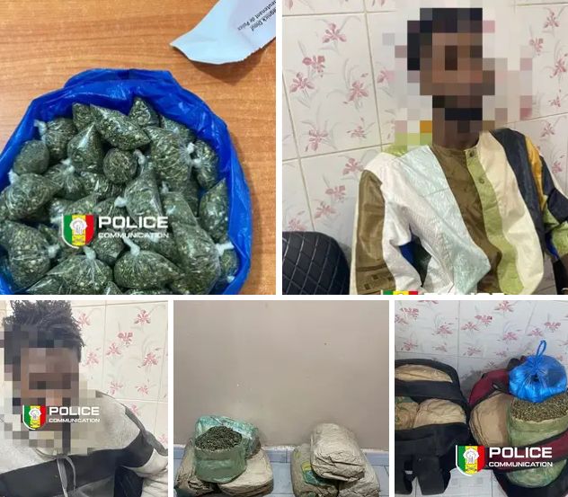 Interpellation de deux individus pour trafic de stupéfiants et saisie de produits…