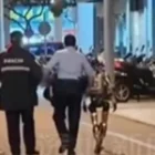 un robot “arrêté” après avoir effrayé une femme en pleine rue (Vidéo)