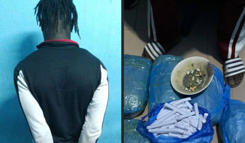 un individu interpellé avec plusieurs kilogrammes de chanvre indien