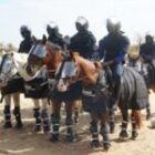 la gendarmerie sénégalaise formée à l’usage des chevaux…