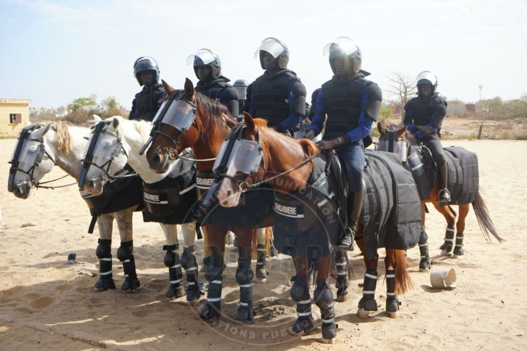 la gendarmerie sénégalaise formée à l’usage des chevaux…