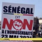 Ismaila Diallo répond à Volker Türk, Sonko ciblé par les cimentiers