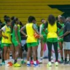 Cheikh Sarr dévoile la liste des 13 Lionnes pour le tournoi qualificatif au Mondial 2026