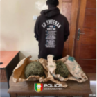 36 515 infractions et 1,4 milliard CFA de recettes en 2025