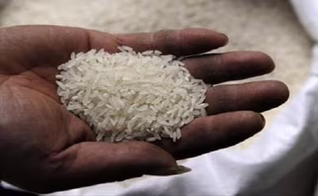 La décision salutaire du gouvernement du Sénégal pour le riz local