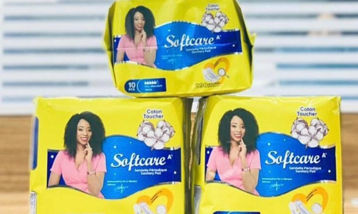 Affaire Softcare : Le gouvernement brise le silence !