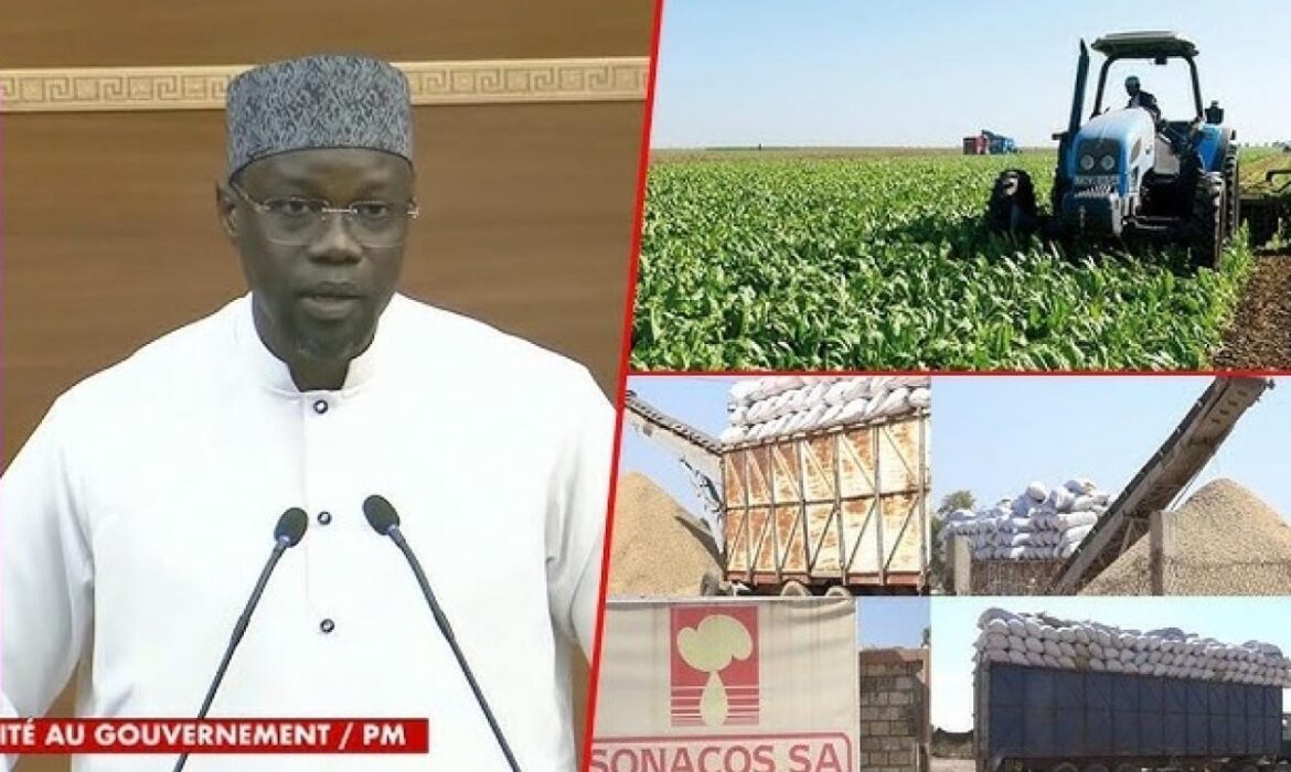 la Sonacos réalise un record, mais reste loin des attentes de Sonko