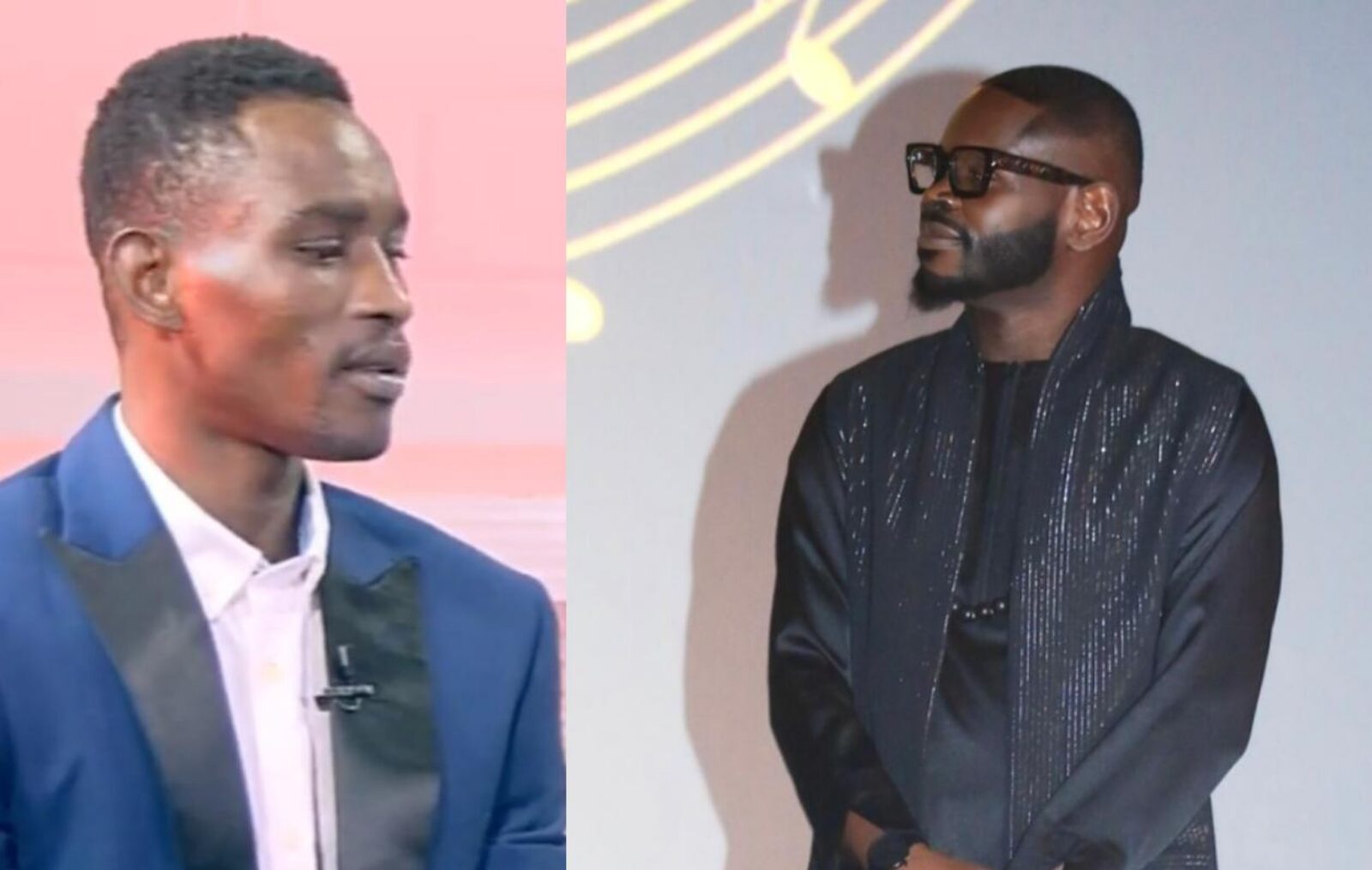 l&rsquo;ombre de Pape Cheikh Diallo