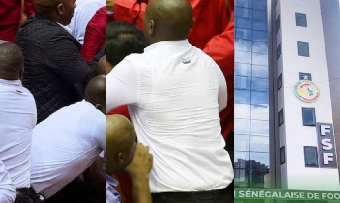 un Comex électrique, récit d&rsquo;un déballage