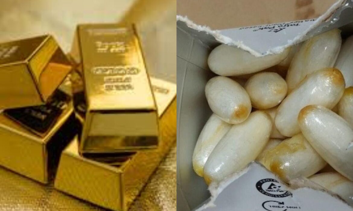 La chute spectaculaire d’un réseau huppé de Dakar