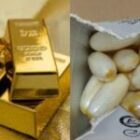 La chute spectaculaire d’un réseau huppé de Dakar