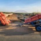 365 sacs d’oignons saisis, 11 individus interpellés