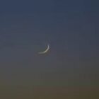 La majorité des musulmans du Senegal fixée sur leur sort (photo)