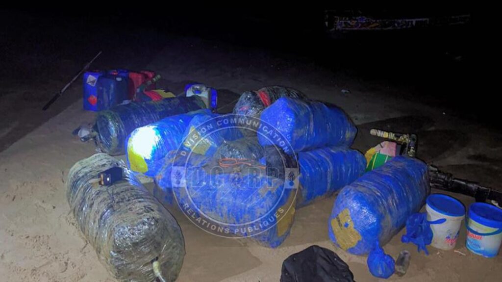 Plus de 500 kg de chanvre indien saisis à Mbodiène, les trafiquants en fuite