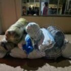 Plusieurs arrestations après la saisie de plus de 800 kg de drogue