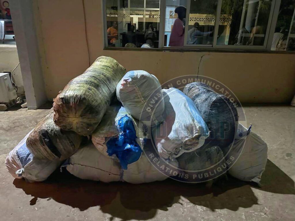 Plusieurs arrestations après la saisie de plus de 800 kg de drogue