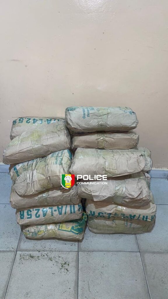 25 kg de chanvre indien saisis, un suspect arrêté à Guinguinéo !