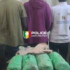 Interpellation de trois individus pour association de malfaiteurs et trafic de stupéfiants