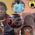 la théorie sans filtre de Pawlish pour justifier la chute du Roi des arènes