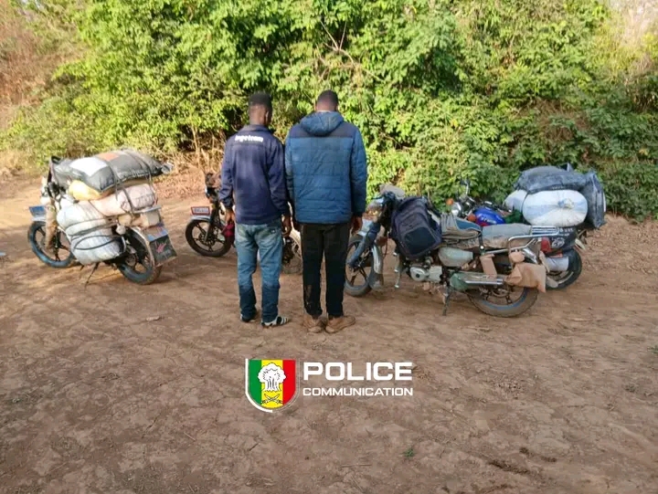 Importante saisie de produits toxiques par le Commissariat Spécial de Kidira