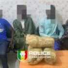 les saisies s’enchaînent sous l’offensive de l’OCRTIS