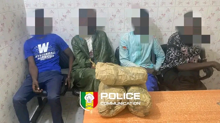 les saisies s’enchaînent sous l’offensive de l’OCRTIS