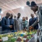 Diomaye Faye affiche sa “profonde conviction” à la FIARA