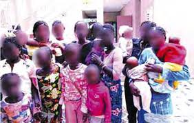 Le Sénégal sur une « pente dangereuse », selon Mamadou Lamine Sow