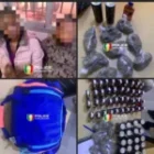 Saisie de drogue à Fatick, la quantité de Skunk interceptée par l’OCRTIS