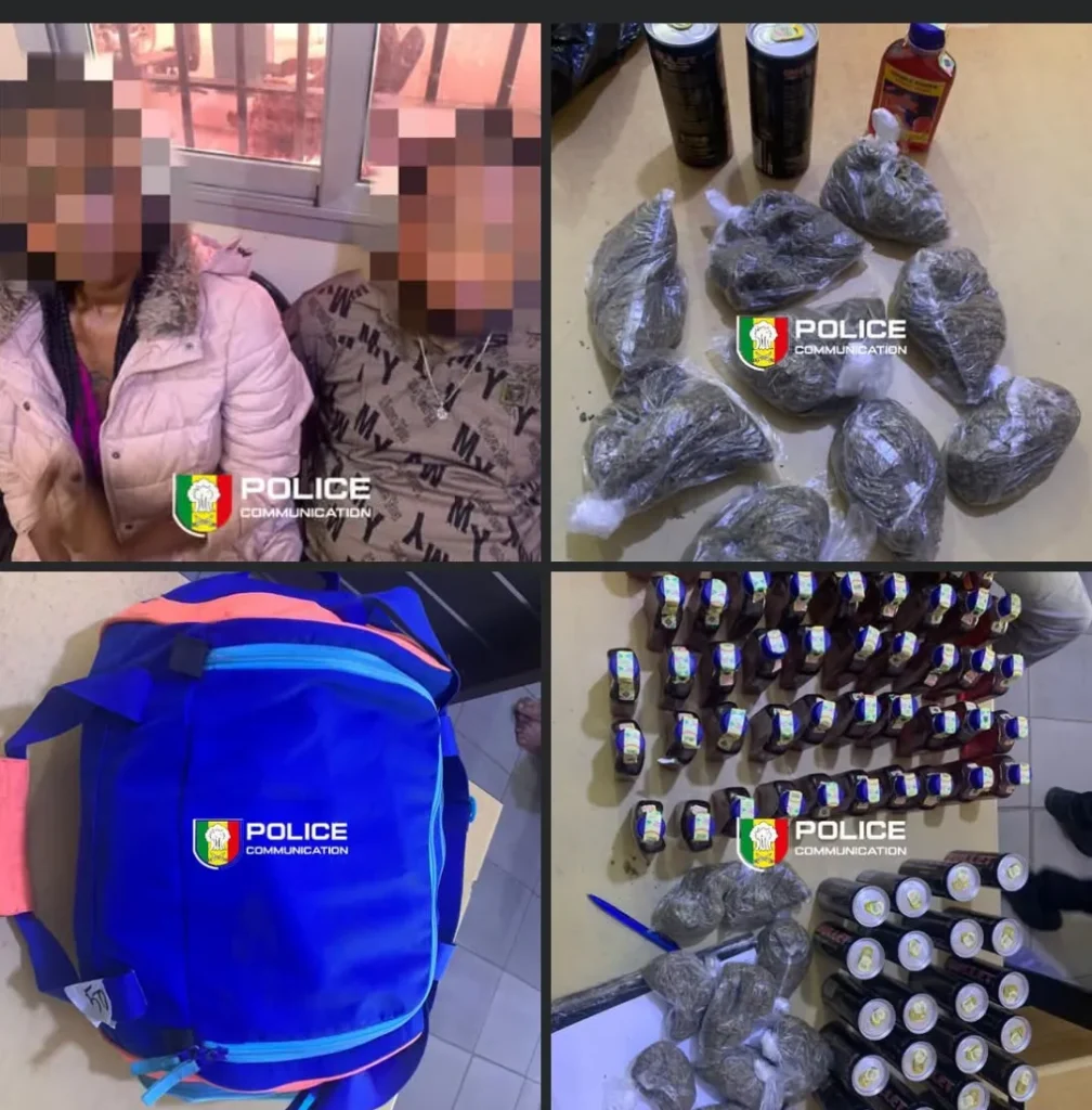 Saisie de drogue à Fatick, la quantité de Skunk interceptée par l’OCRTIS