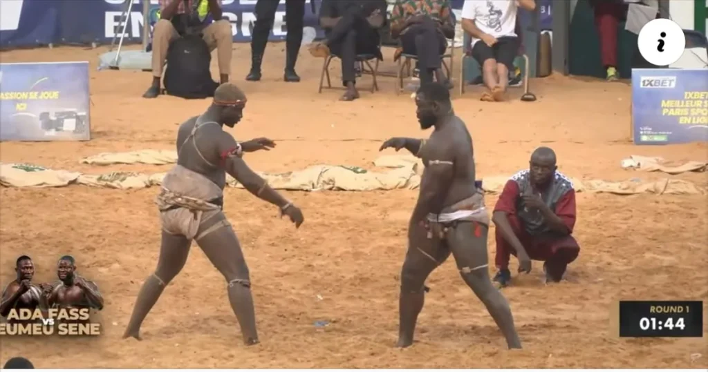 la technique de lutte exacte ayant provoqué la chute (Vidéo)