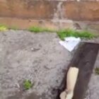 Le commandement israélien chargé d’enquêter sur le soldat ayant vandalisé la statue