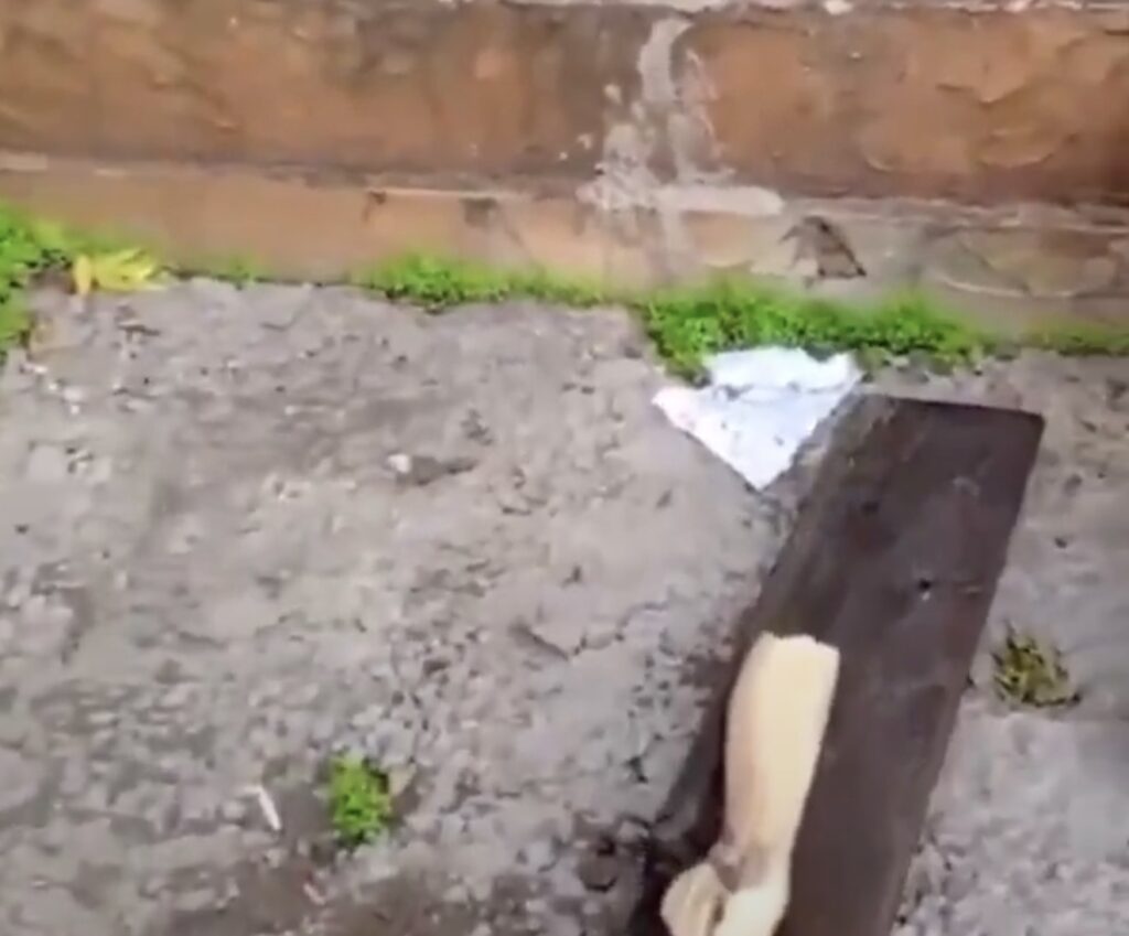 Le commandement israélien chargé d’enquêter sur le soldat ayant vandalisé la statue