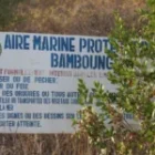 Gouvernance des aires marines à Dakar et le facteur entravant leur fonctionnement relevé par la FAO