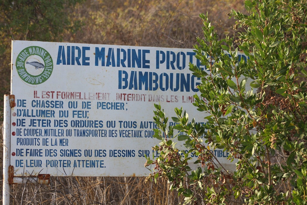 Gouvernance des aires marines à Dakar et le facteur entravant leur fonctionnement relevé par la FAO