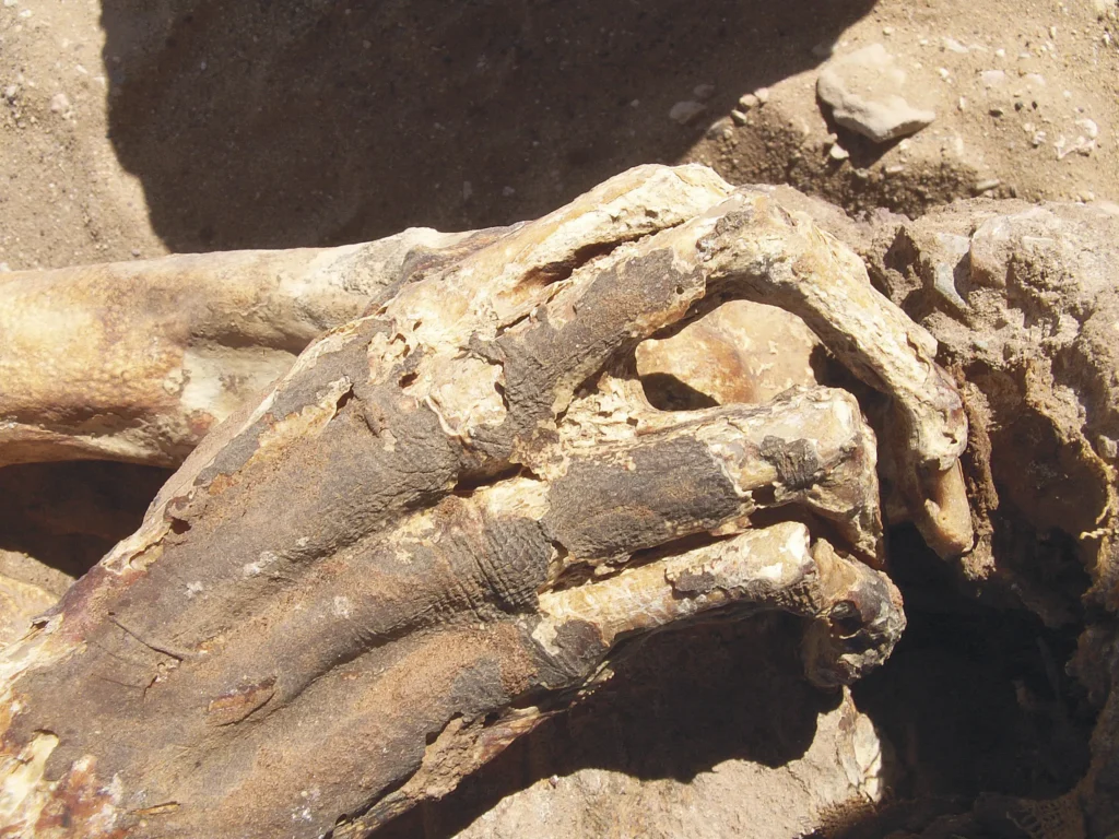 des restes de nouveau-né retrouvés et le lieu exact de la découverte