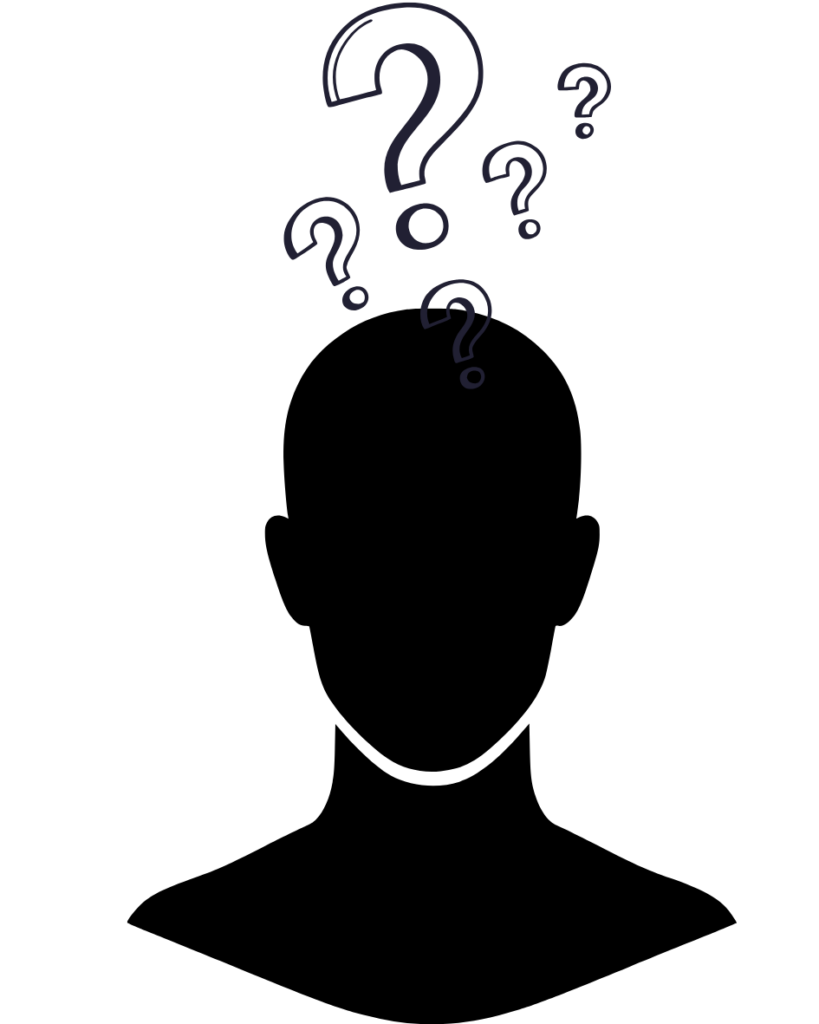 la catégorie dans laquelle Mamadou Amadou Ly a été distingué