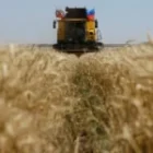 Israël examine la saisie d’un navire visé par l’Ukraine et le port concerné en Israël