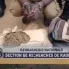 le pays du chef de réseau cité après la saisie de 12 kg de chanvre