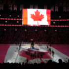 Comment les fans de sport canadiens utilisent les outils numériques pour suivre chaque match, statistique et classement