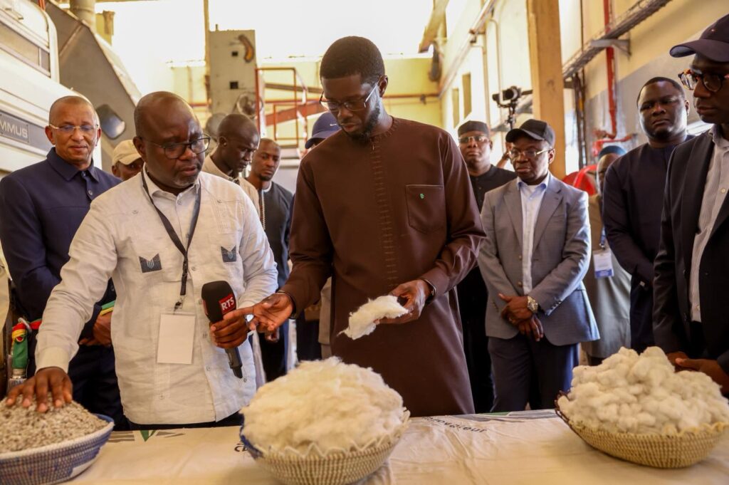 Diomaye Faye impulse une nouvelle dynamique à la filière coton avec la SODEFITEX