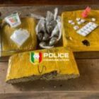 l’OCRTIS frappe fort dans sept régions du Sénégal